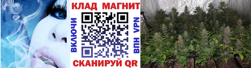 Цена Темников Кокаин Бошки Шишки мега ссылки ГАШ Меф мяу мяу Альфа ПВП