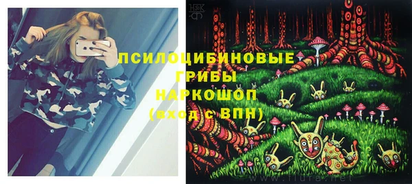 ГАЛЛЮЦИНОГЕННЫЕ ГРИБЫ Семикаракорск