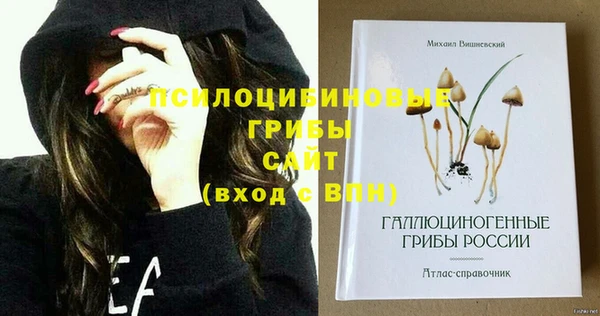 ГАЛЛЮЦИНОГЕННЫЕ ГРИБЫ Семикаракорск