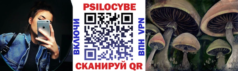Псилоцибиновые грибы Psilocybe Темников