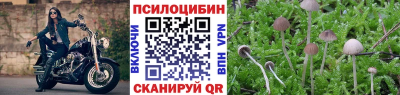 Галлюциногенные грибы Psilocybe Темников